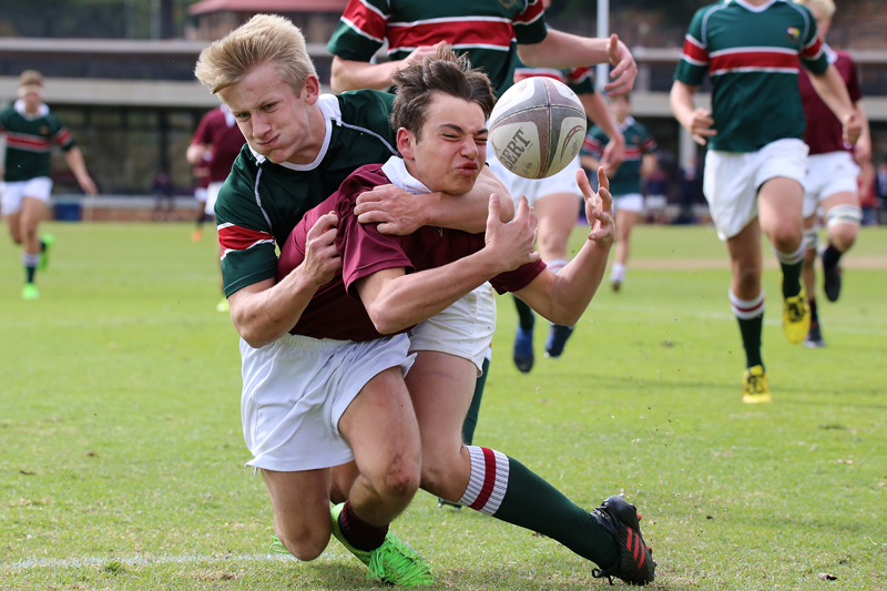 Sport rugby